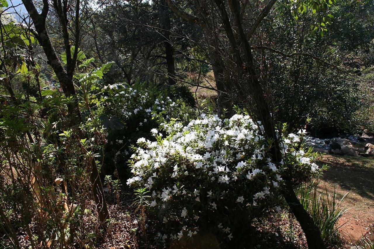 Sabie Star Villa Bagian luar foto
